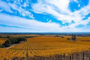 Residential Lot,  Jensen lane, Windsor, CA 95492 - 38