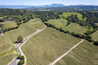 Residential Lot,  Jensen lane, Windsor, CA 95492 - 8