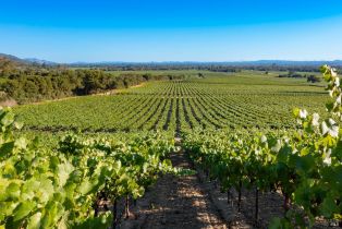 Residential Lot,  Jensen lane, Windsor, CA 95492 - 22