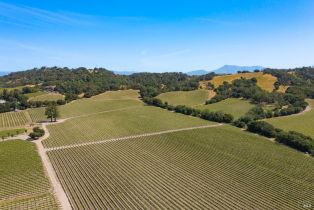 Residential Lot,  Jensen lane, Windsor, CA 95492 - 32