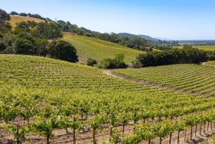 Residential Lot,  Jensen lane, Windsor, CA 95492 - 31