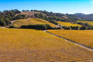 Residential Lot,  Jensen lane, Windsor, CA 95492 - 20