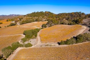 Residential Lot,  Jensen lane, Windsor, CA 95492 - 33