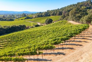 Residential Lot,  Jensen lane, Windsor, CA 95492 - 25