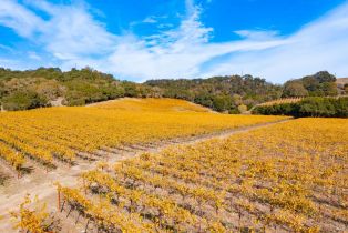 Residential Lot,  Jensen lane, Windsor, CA 95492 - 40