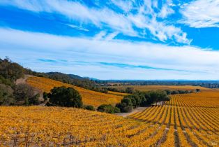 Residential Lot,  Jensen lane, Windsor, CA 95492 - 39