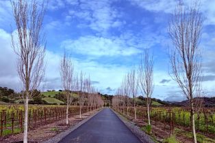 Residential Lot,  Jensen lane, Windsor, CA 95492 - 10