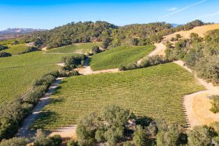 Residential Acreage,  Jensen lane, Windsor, CA 95492 - 20