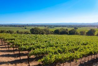 Residential Acreage,  Jensen lane, Windsor, CA 95492 - 19