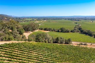 Residential Acreage,  Jensen lane, Windsor, CA 95492 - 23