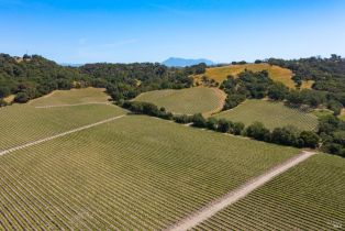 Residential Acreage,  Jensen lane, Windsor, CA 95492 - 28