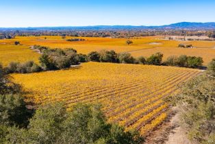 Residential Acreage,  Jensen lane, Windsor, CA 95492 - 32