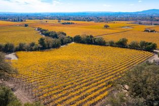 Residential Acreage,  Jensen lane, Windsor, CA 95492 - 37