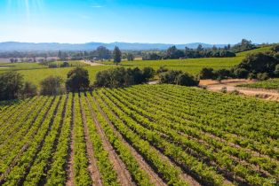 Residential Acreage,  Jensen lane, Windsor, CA 95492 - 18