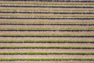 Residential Acreage,  Jensen lane, Windsor, CA 95492 - 26