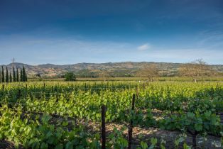 Single Family Residence, Big Ranch road, Napa, CA 94558 - 50