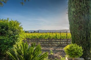 Single Family Residence, Big Ranch road, Napa, CA 94558 - 44