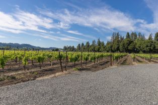 Residential Acreage,  Magnolia drive, Healdsburg, CA 95448 - 10