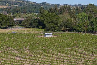 Residential Acreage,  Magnolia drive, Healdsburg, CA 95448 - 12