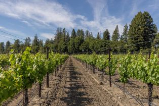 Residential Acreage,  Magnolia drive, Healdsburg, CA 95448 - 15