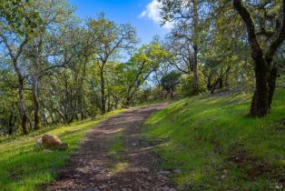 Single Family Residence,  Norrbom road, Sonoma, CA 95476 - 45