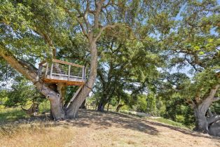 Single Family Residence,  White Alder none, Sonoma, CA 95476 - 41