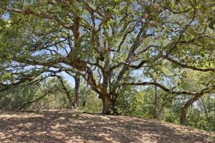 Single Family Residence,  White Alder none, Sonoma, CA 95476 - 18