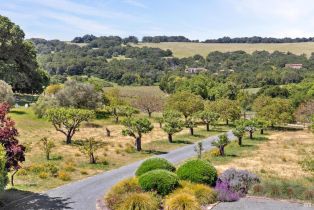 Single Family Residence,  White Alder none, Sonoma, CA 95476 - 3