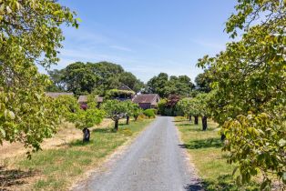 Single Family Residence,  White Alder none, Sonoma, CA 95476 - 43