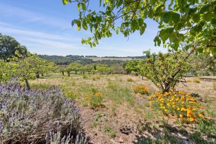 Single Family Residence,  White Alder none, Sonoma, CA 95476 - 40