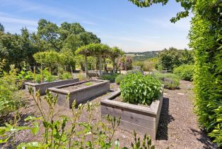 Single Family Residence,  White Alder none, Sonoma, CA 95476 - 37