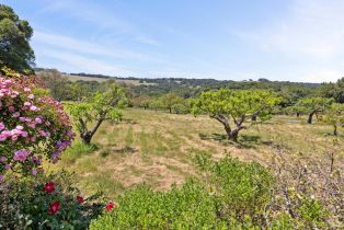 Single Family Residence,  White Alder none, Sonoma, CA 95476 - 39