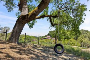 Single Family Residence,  White Alder none, Sonoma, CA 95476 - 42