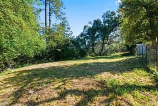 Single Family Residence,  Sky Oaks drive, Angwin, CA 94508 - 39