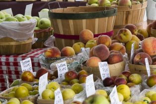 Single Family Residence,  Main street, Sebastopol, CA 95472 - 27