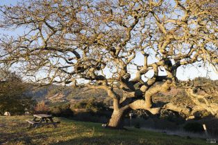 Single Family Residence,  Sonoma Ridge road, Santa Rosa, CA 95404 - 30