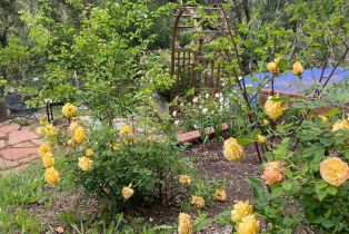 Residential Acreage,  HWY 128 highway, Healdsburg, CA 95448 - 47
