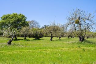 Single Family Residence,  Sanders road, Sebastopol, CA 95472 - 58