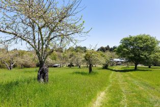 Single Family Residence,  Sanders road, Sebastopol, CA 95472 - 51