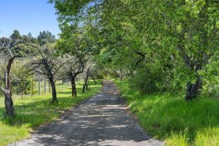 Single Family Residence,  Sanders road, Sebastopol, CA 95472 - 35