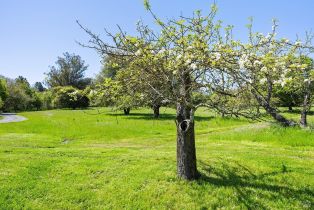 Single Family Residence,  Sanders road, Sebastopol, CA 95472 - 57