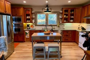 2 Houses on Lot,  Gravenstein highway, Sebastopol, CA 95472 - 11