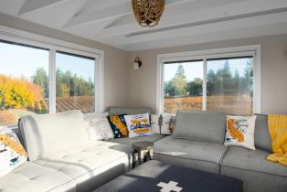 2 Houses on Lot,  Gravenstein highway, Sebastopol, CA 95472 - 29