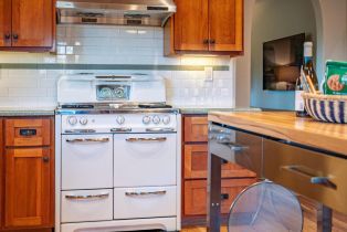 2 Houses on Lot,  Gravenstein highway, Sebastopol, CA 95472 - 13