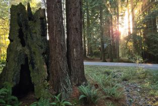 Single Family Residence,  Schooner drive, Sea Ranch, CA 95497 - 36