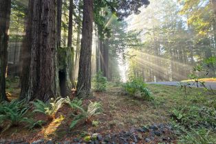 Single Family Residence,  Schooner drive, Sea Ranch, CA 95497 - 35
