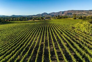 Single Family Residence,  Hardman avenue, Napa, CA 94558 - 6