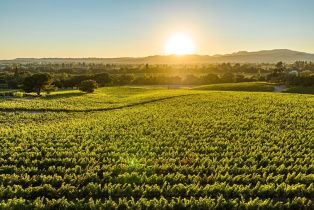 Single Family Residence,  Hardman avenue, Napa, CA 94558 - 71