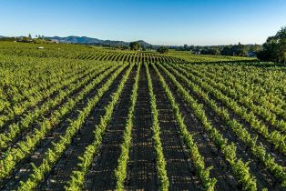 Single Family Residence,  Hardman avenue, Napa, CA 94558 - 9