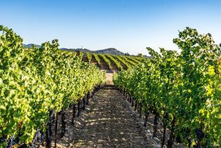 Single Family Residence,  Hardman avenue, Napa, CA 94558 - 12